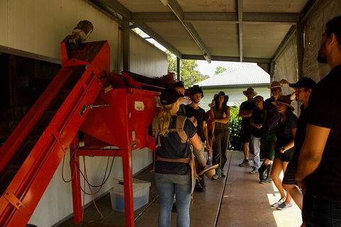 Pecan Farm Tour And Workshop, Byron Bay Hinterland - Accommodation Brunswick Heads 4