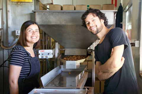 Pecan Farm Tour And Workshop, Byron Bay Hinterland - Accommodation Brunswick Heads 7