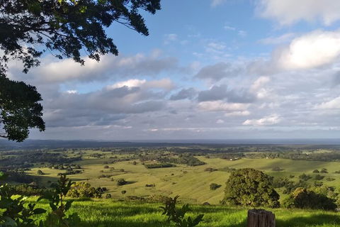 Pecan Farm Tour And Workshop, Byron Bay Hinterland - Accommodation Brunswick Heads 1