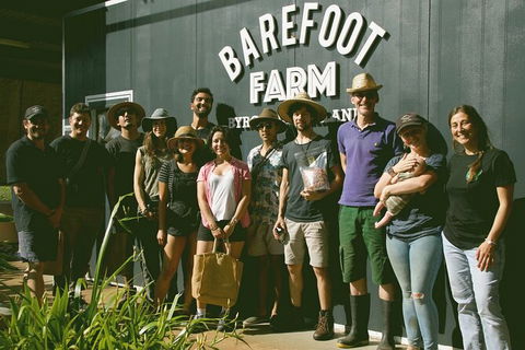 Pecan Farm Tour And Workshop, Byron Bay Hinterland - Accommodation Brunswick Heads 0