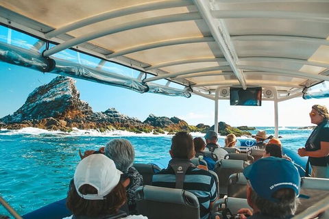 Julian Rocks Byron Bay Cruise - Accommodation Brunswick Heads 13