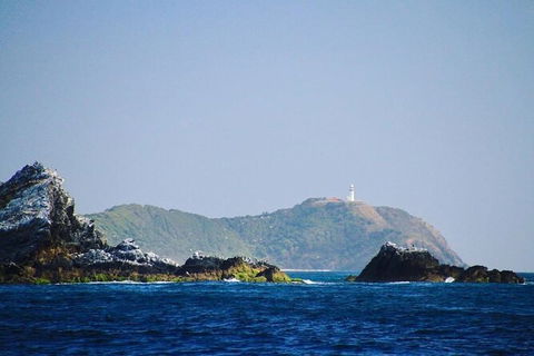 Julian Rocks Byron Bay Cruise - Accommodation Brunswick Heads 2