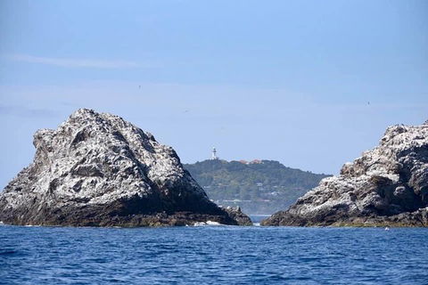 Julian Rocks Byron Bay Cruise - Accommodation Brunswick Heads 14