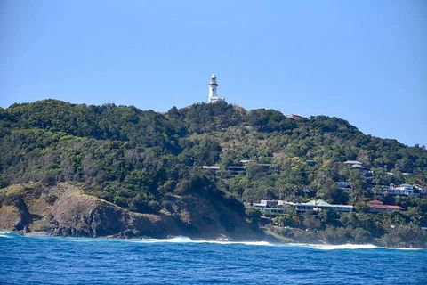 Julian Rocks Byron Bay Cruise - Accommodation Brunswick Heads 7