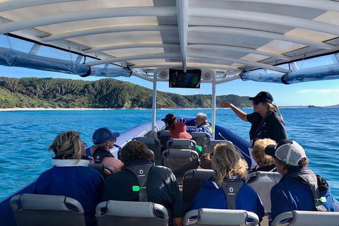 Julian Rocks Byron Bay Cruise - Accommodation Brunswick Heads 11