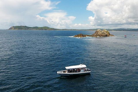 Julian Rocks Byron Bay Cruise - Accommodation Brunswick Heads 0
