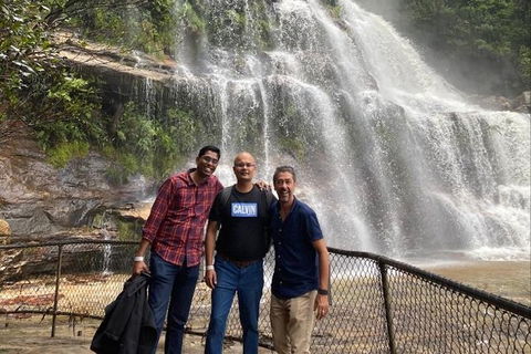 Blue Mountains Highlights & Wildlife Park - Accommodation Brunswick Heads 4