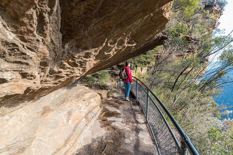 Blue Mountains Highlights & Wildlife Park - Accommodation Brunswick Heads 0