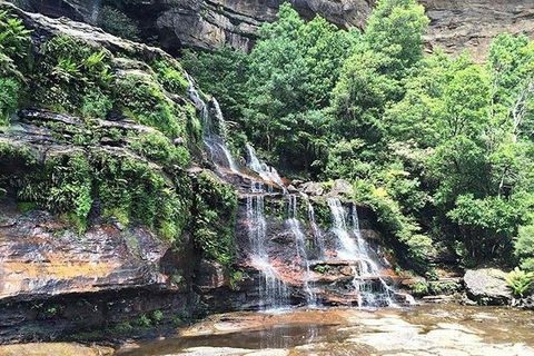 Blue Mountains Highlights & Wildlife Park - Accommodation Brunswick Heads 8