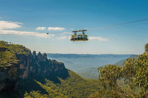 Blue Mountains Highlights, Wildlife Park And Scenic World Full Day Private Tour - Accommodation Brunswick Heads 0