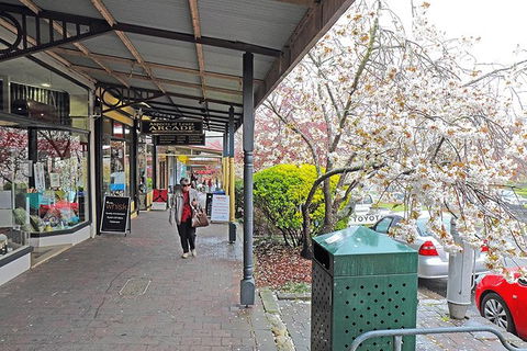 Blue Mountains Highlights, Wildlife Park And Scenic World Full Day Private Tour - Accommodation Brunswick Heads 2