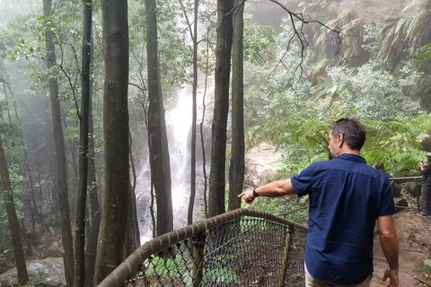 Blue Mountains Highlights, Wildlife Park And Scenic World Full Day Private Tour - Accommodation Brunswick Heads 6