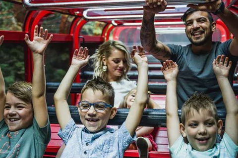 Blue Mountains Highlights, Wildlife Park And Scenic World Full Day Private Tour - Accommodation Brunswick Heads 5