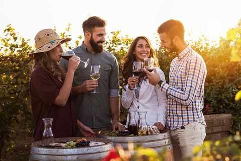 Hunter Valley Highlights Private Wine Tour From Sydney - Accommodation Brunswick Heads 0