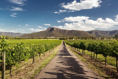 Hunter Valley Highlights Private Wine Tour From Sydney - Accommodation Brunswick Heads 2