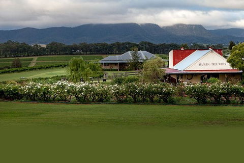 Hunter Valley Highlights Private Wine Tour From Sydney - Accommodation Brunswick Heads 5