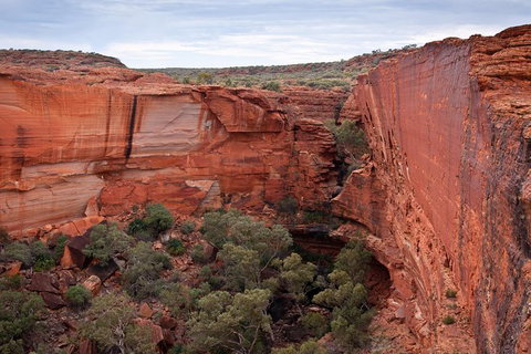 Uluru, Kata Tjuta And Kings Canyon Camping Safari From Alice Springs - Accommodation Brunswick Heads 4