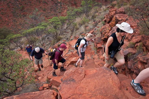 Uluru, Kata Tjuta And Kings Canyon Camping Safari From Alice Springs - Accommodation Brunswick Heads 3