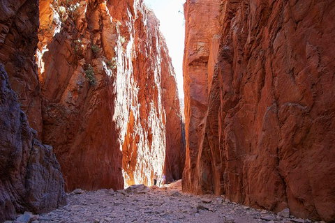 Best Of Alice Springs Full Day Tour - Accommodation Brunswick Heads 6