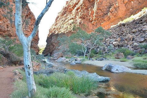 Alice Springs, Uluru Ayers Rock & Kings Canyon 8 Days Touring Package - Accommodation Brunswick Heads 2