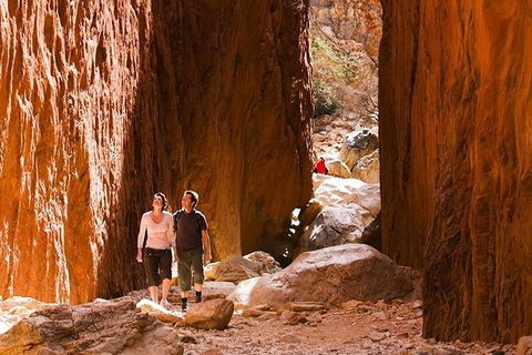Alice Springs, Uluru Ayers Rock & Kings Canyon 8 Days Touring Package - Accommodation Brunswick Heads 5