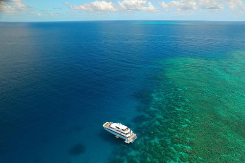 Great Barrier Reef Snorkeling And Diving Cruise From Cairns - Accommodation Brunswick Heads 3