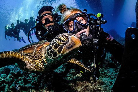 Great Barrier Reef Snorkeling And Diving Cruise From Cairns - Accommodation Brunswick Heads 11