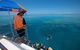 Great Barrier Reef Snorkeling And Diving Cruise From Cairns - thumb 4