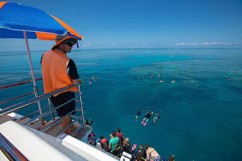 Great Barrier Reef Snorkeling And Diving Cruise From Cairns - Accommodation Brunswick Heads 4