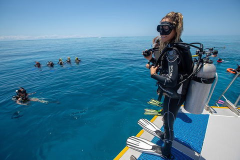 Great Barrier Reef Snorkeling And Diving Cruise From Cairns - Accommodation Brunswick Heads 7