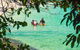 Green Island Day Trip From Cairns - thumb 6