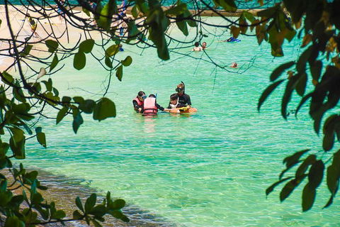 Green Island Day Trip From Cairns - Accommodation Brunswick Heads 6