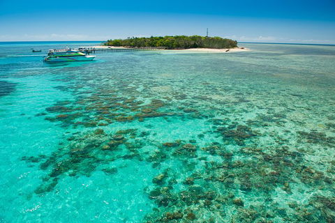 Green Island Day Trip From Cairns - Accommodation Brunswick Heads 9