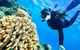 Green Island Day Trip From Cairns - thumb 5