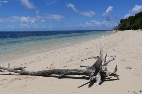 Green Island & Great Barrier Reef Sailing Cruise From Cairns - Only 25 Guests - Accommodation Brunswick Heads 2