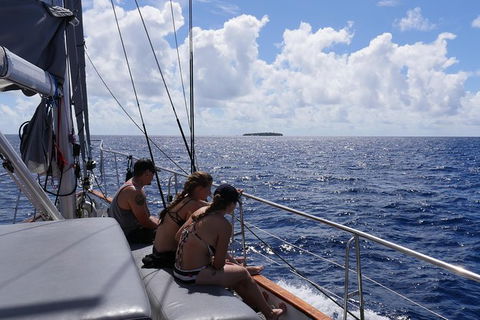 Green Island & Great Barrier Reef Sailing Cruise From Cairns - Only 25 Guests - Accommodation Brunswick Heads 7