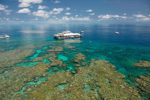 Great Barrier Reef Day Cruise From Cairns Including Snorkeling And Marine Biologist Presentation - Accommodation Brunswick Heads 8