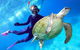 Great Barrier Reef Day Cruise From Cairns Including Snorkeling And Marine Biologist Presentation - thumb 0