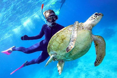 Great Barrier Reef Day Cruise From Cairns Including Snorkeling And Marine Biologist Presentation - Accommodation Brunswick Heads 0