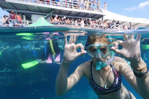 Great Barrier Reef Day Cruise From Cairns Including Snorkeling And Marine Biologist Presentation - Accommodation Brunswick Heads 6