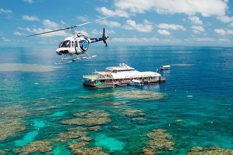 Great Barrier Reef Day Cruise From Cairns Including Snorkeling And Marine Biologist Presentation - Accommodation Brunswick Heads 1
