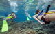Great Barrier Reef Day Cruise From Cairns Including Snorkeling And Marine Biologist Presentation - thumb 2