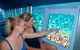 Great Barrier Reef Day Cruise From Cairns Including Snorkeling And Marine Biologist Presentation - thumb 9