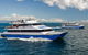 Great Barrier Reef Day Cruise From Cairns Including Snorkeling And Marine Biologist Presentation - thumb 10