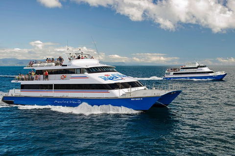 Great Barrier Reef Day Cruise From Cairns Including Snorkeling And Marine Biologist Presentation - Accommodation Brunswick Heads 10