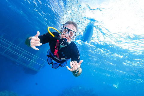 Great Barrier Reef Day Cruise From Cairns Including Snorkeling And Marine Biologist Presentation - Accommodation Brunswick Heads 7