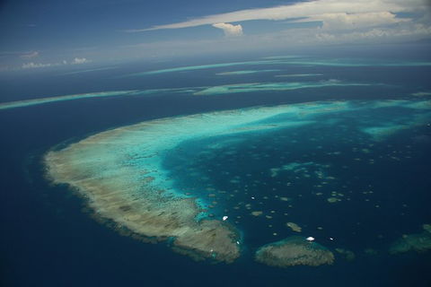 Great Barrier Reef Day Cruise From Cairns Including Snorkeling And Marine Biologist Presentation - Accommodation Brunswick Heads 5