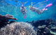 Great Barrier Reef Scenic Helicopter Tour And Cruise From Cairns - thumb 5