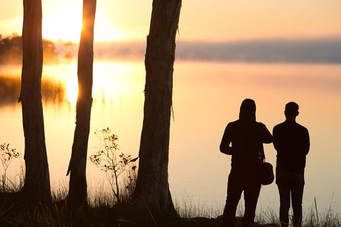 Serenity Cruise To Australia\'s Everglades - Accommodation Brunswick Heads 3