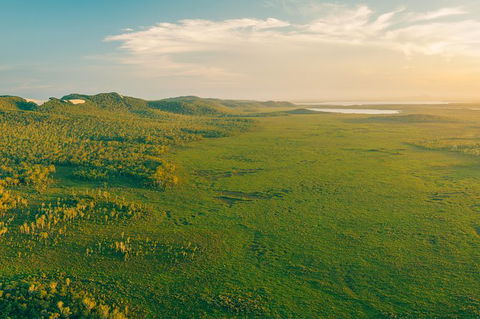 Serenity Cruise To Australia\'s Everglades - Accommodation Brunswick Heads 6